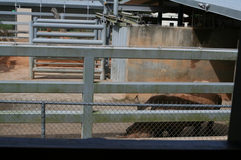 2009/10(October)/Disney-Cruise/171CANON/800x600_IMG_7172.JPG
