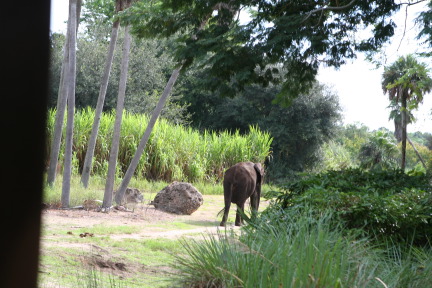IMG_7105.JPG