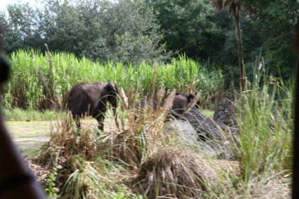 IMG_7110.JPG