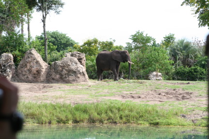 IMG_7122.JPG