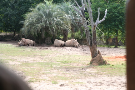 IMG_7132.JPG
