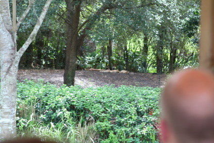 IMG_7143.JPG