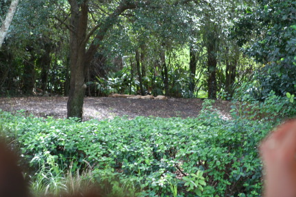 IMG_7145.JPG