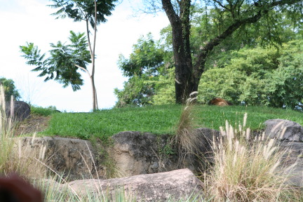 IMG_7150.JPG