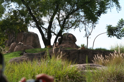 IMG_7152.JPG