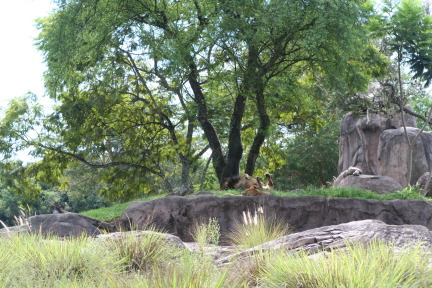 IMG_7155.JPG