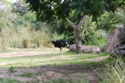IMG_7159.JPG