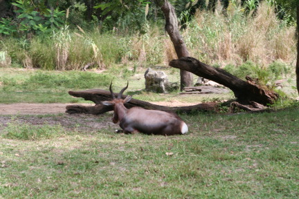 IMG_7160.JPG