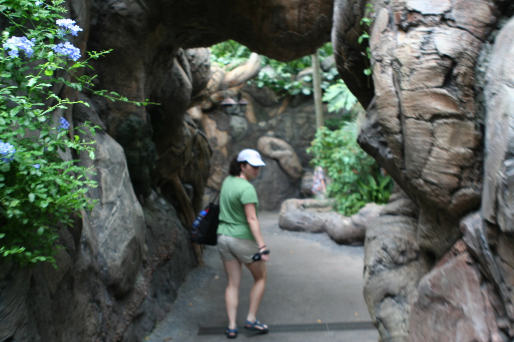 2009/10(October)/Disney-Cruise/173CANON/1024x768_IMG_7315.JPG