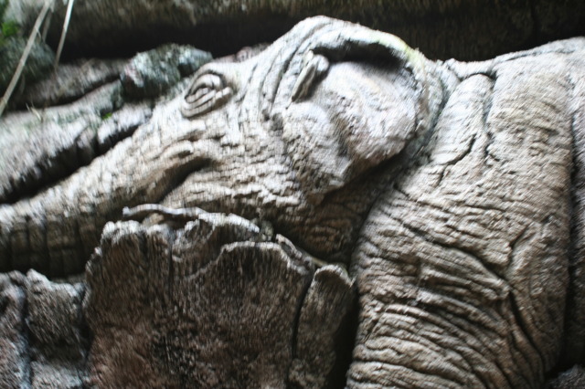 2009/10(October)/Disney-Cruise/173CANON/640x480_IMG_7313.JPG
