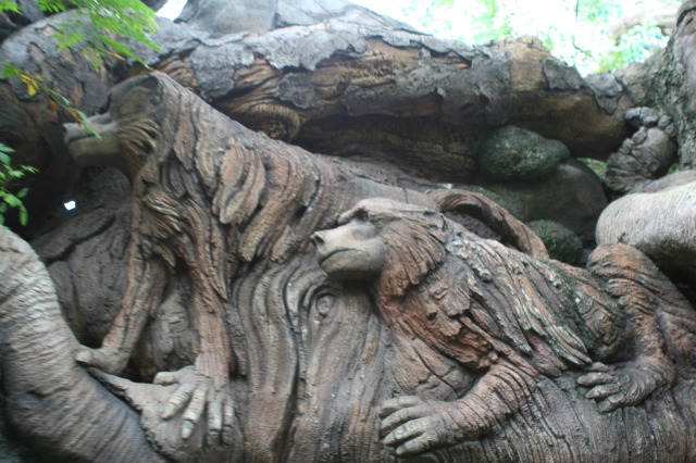 2009/10(October)/Disney-Cruise/173CANON/640x480_IMG_7321.JPG