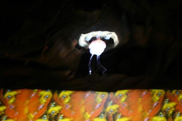 2009/10(October)/Disney-Cruise/173CANON/640x480_IMG_7326.JPG