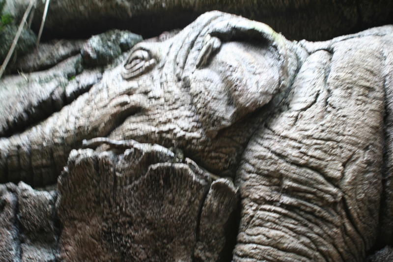 2009/10(October)/Disney-Cruise/173CANON/800x600_IMG_7313.JPG