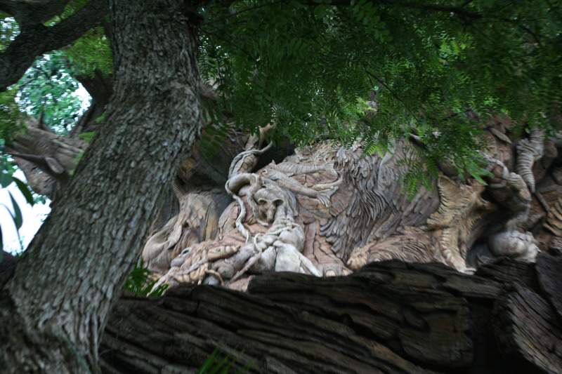 2009/10(October)/Disney-Cruise/173CANON/800x600_IMG_7320.JPG