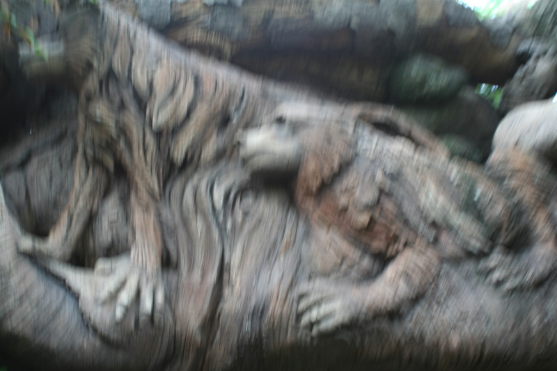 2009/10(October)/Disney-Cruise/173CANON/800x600_IMG_7322.JPG