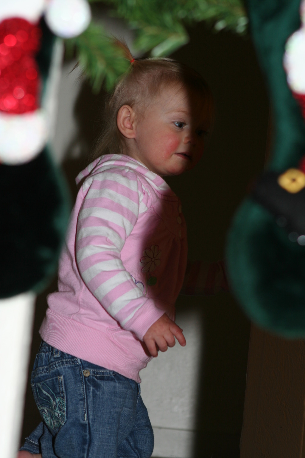 2009/12(December)/Colorado-Christmas/1024x768_2009-12-25-Christmas-17-Sydney.JPG
