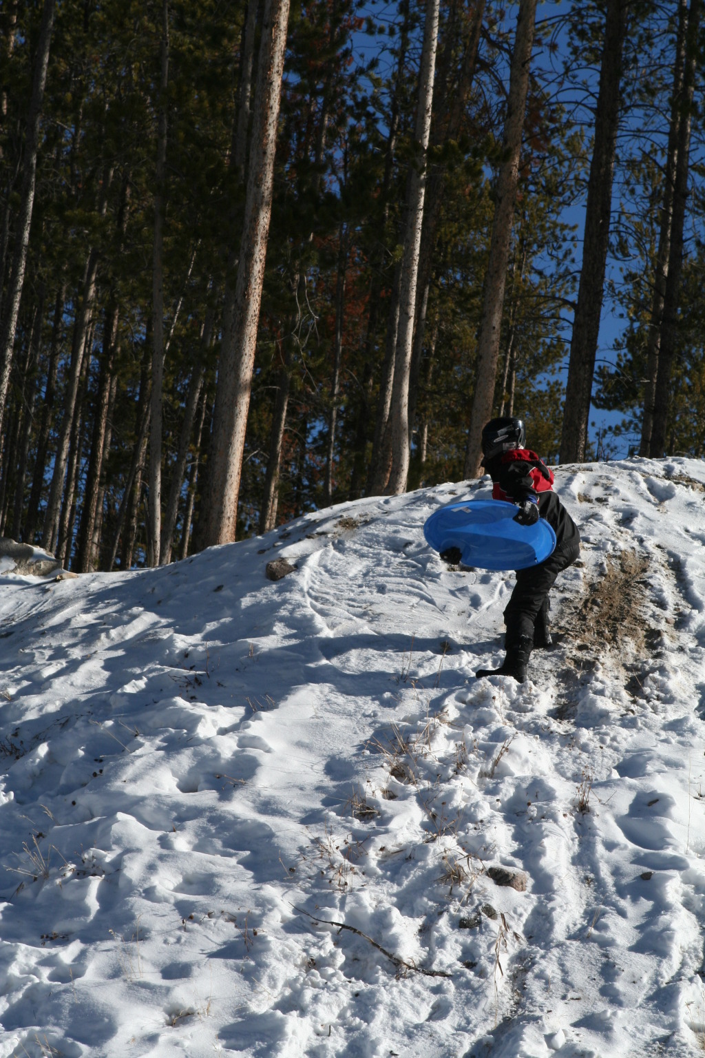 2009-12-27-Sledding-054-Chance.JPG