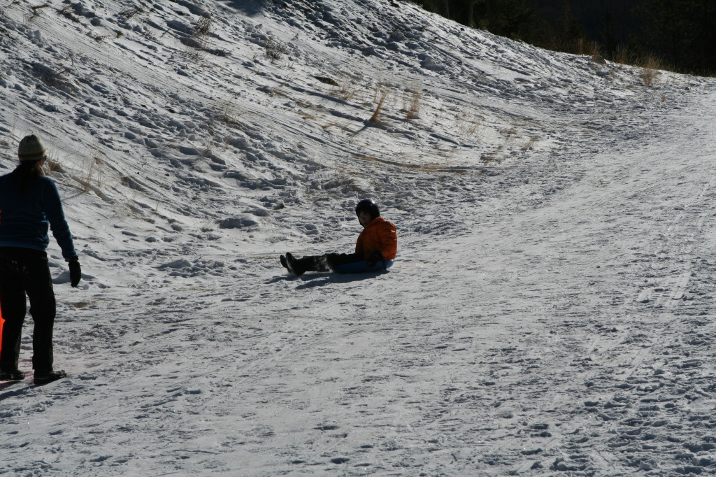2009/12(December)/Sledding/1024x768_2009-12-27-Sledding-107-Dax.JPG