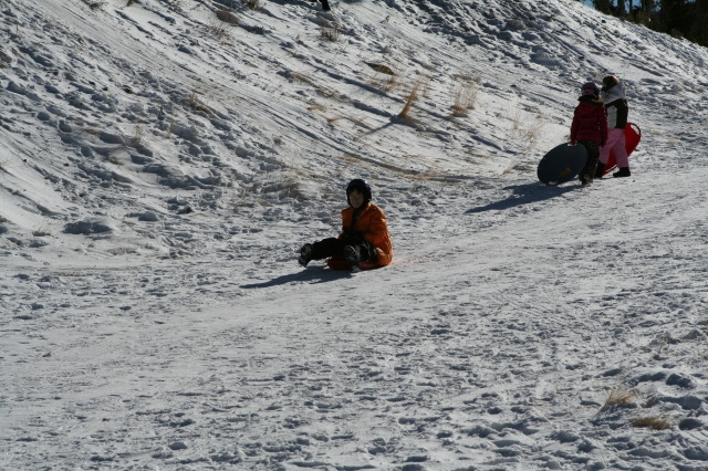 2009-12-27-Sledding-015-Dax.JPG