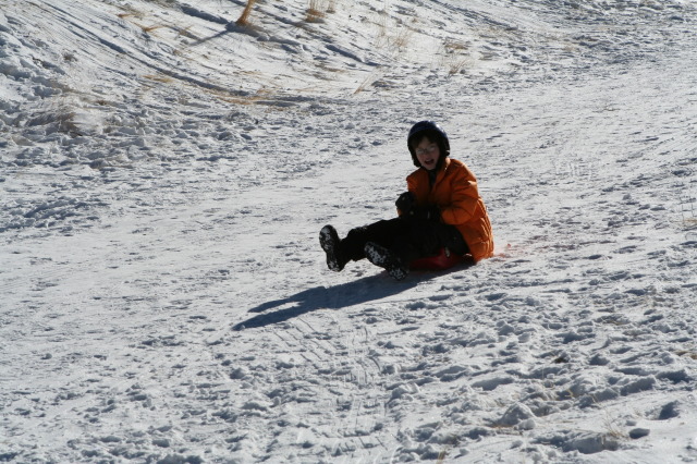 2009-12-27-Sledding-040-Dax.JPG