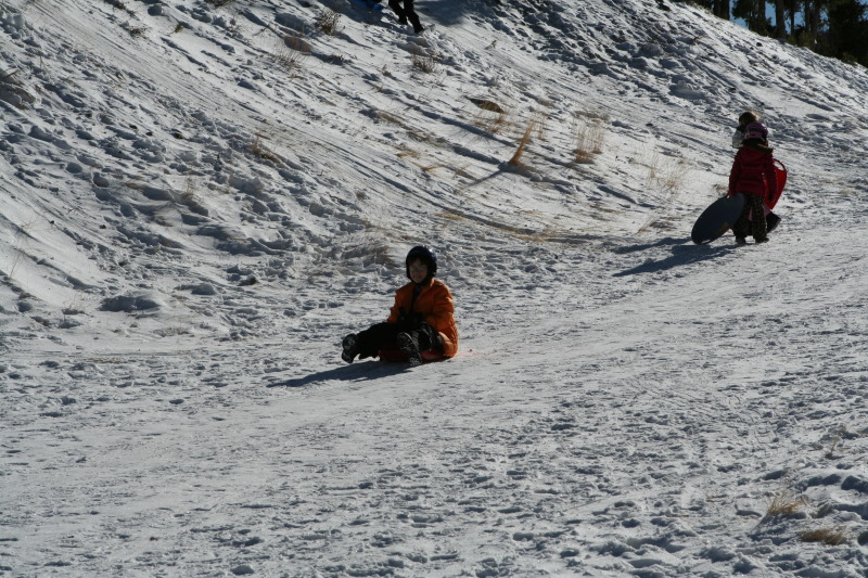 2009/12(December)/Sledding/800x600_2009-12-27-Sledding-016-Dax.JPG