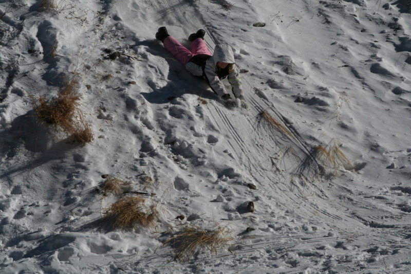 2009/12(December)/Sledding/800x600_2009-12-27-Sledding-076-Kyla.JPG