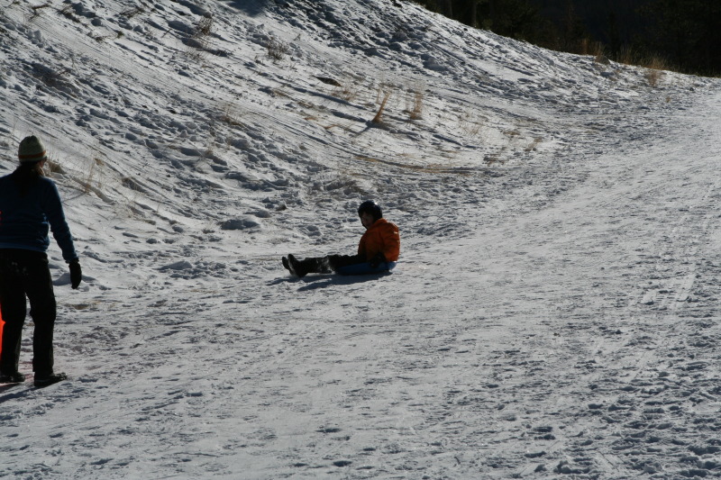 2009/12(December)/Sledding/800x600_2009-12-27-Sledding-107-Dax.JPG