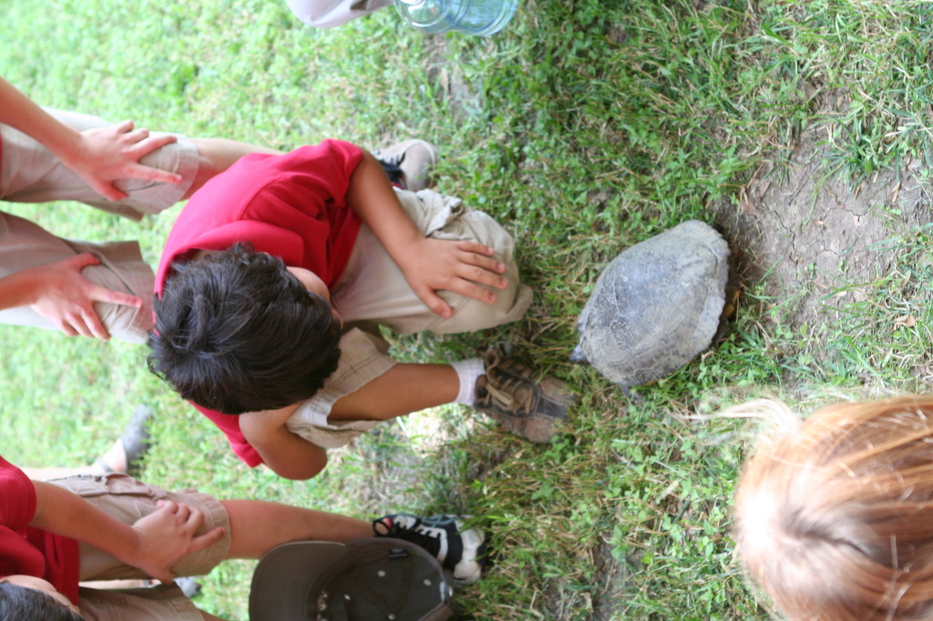 2010/05(May)/NYOS-Waco-Zoo/1024x768_IMG_0809.JPG