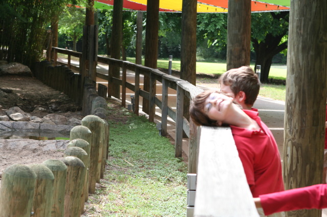 2010/05(May)/NYOS-Waco-Zoo/640x480_IMG_0811.JPG