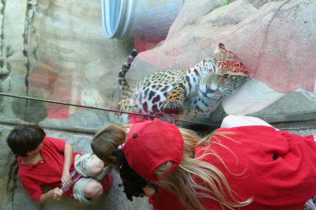 2010/05(May)/NYOS-Waco-Zoo/640x480_IMG_0824.JPG