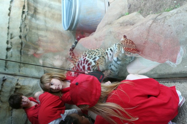 2010/05(May)/NYOS-Waco-Zoo/640x480_IMG_0825.JPG