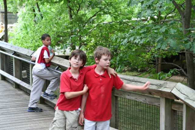 2010/05(May)/NYOS-Waco-Zoo/640x480_IMG_0838.JPG