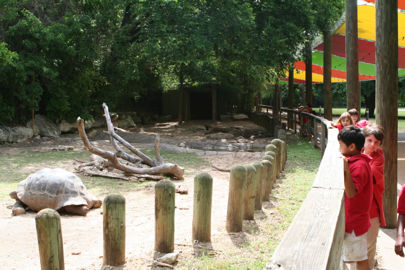 2010/05(May)/NYOS-Waco-Zoo/800x600_IMG_0810.JPG