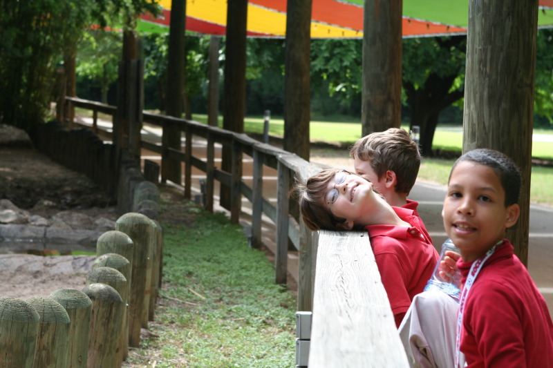 2010/05(May)/NYOS-Waco-Zoo/800x600_IMG_0813.JPG