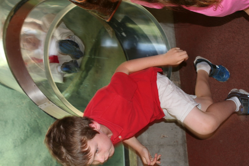 2010/05(May)/NYOS-Waco-Zoo/800x600_IMG_0819.JPG