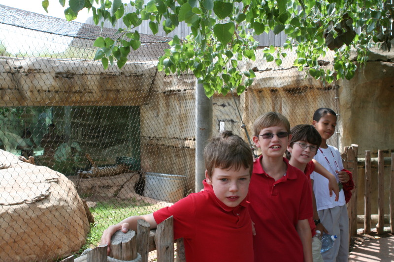 2010/05(May)/NYOS-Waco-Zoo/800x600_IMG_0826.JPG