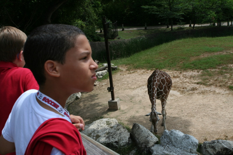2010/05(May)/NYOS-Waco-Zoo/800x600_IMG_0836.JPG