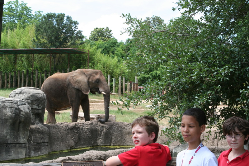 2010/05(May)/NYOS-Waco-Zoo/800x600_IMG_0840.JPG
