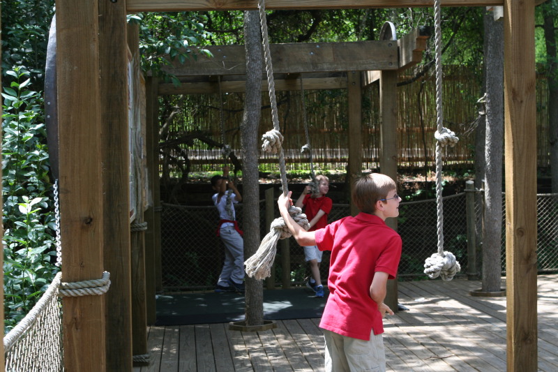 2010/05(May)/NYOS-Waco-Zoo/800x600_IMG_0846.JPG