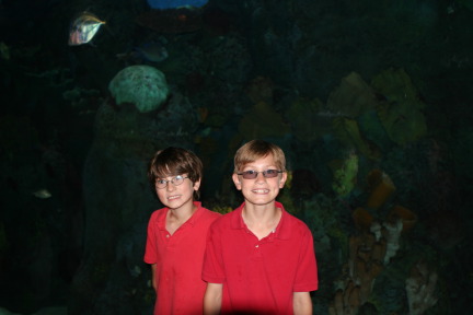IMG_0814.JPG