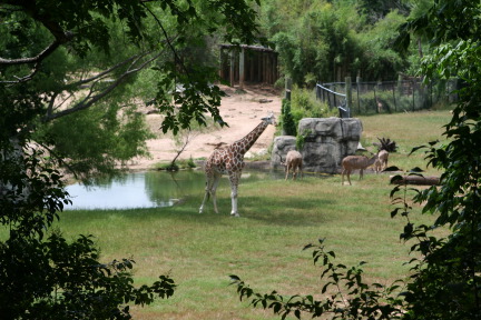 IMG_0835.JPG