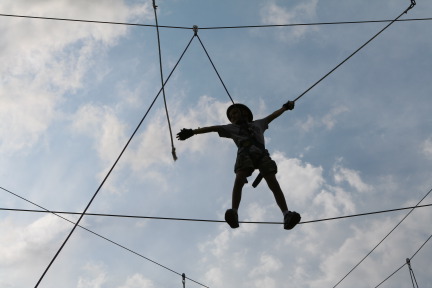 2010-05-22-Pack409-Camp-Champions-187-High-Ropes.JPG