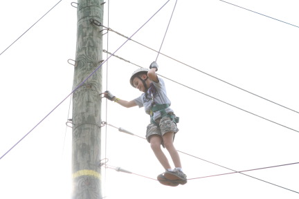 2010-05-22-Pack409-Camp-Champions-195-High-Ropes.JPG