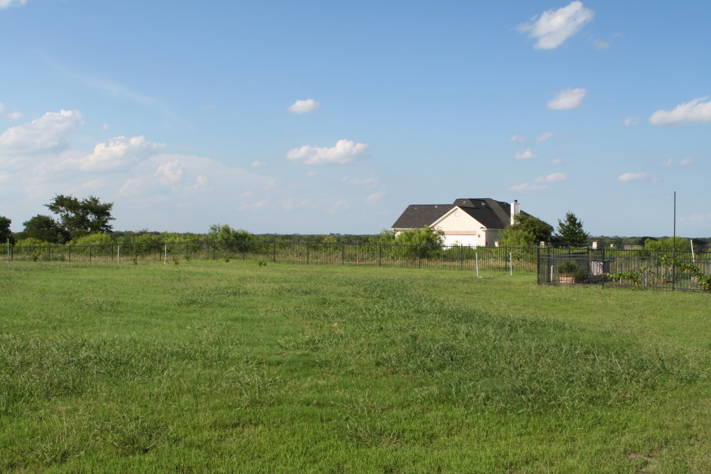 2010/06(June)/New-House/328-New-House/1024x768_2010-06-28-New-House-094-Back-Yard.JPG