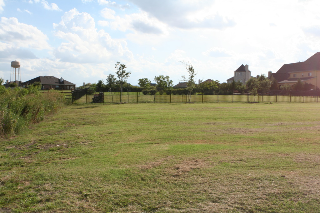 2010/06(June)/New-House/328-New-House/1024x768_2010-06-28-New-House-098-Back-Yard.JPG