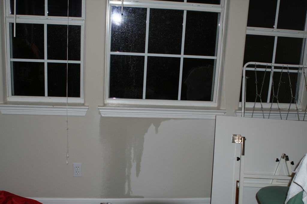 2010/06(June)/New-House/328-New-House/1024x768_2010-06-28-New-House-101-Water-Damage.JPG