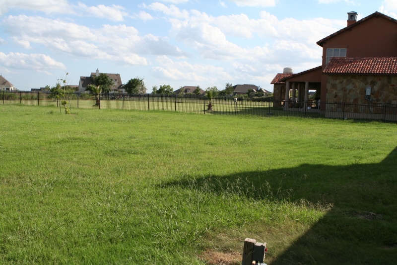 2010/06(June)/New-House/328-New-House/800x600_2010-06-28-New-House-085-Back-Yard.JPG
