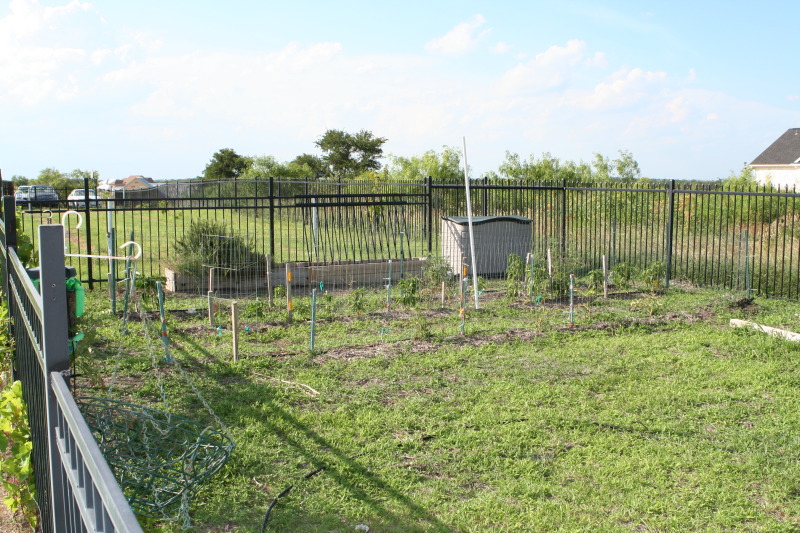 2010/06(June)/New-House/328-New-House/800x600_2010-06-28-New-House-086-Back-Yard.JPG