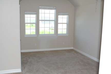 2010-06-28-New-House-001.JPG