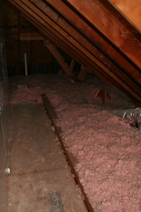 2010-06-28-New-House-020.JPG